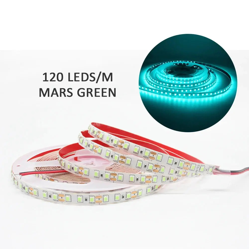 12V LED Strip SMD 2835 Warm White Flexible Tape Light 120 LED Per Meter 240 LED Per Meter Available in 1M 2M 3M 4M 5M