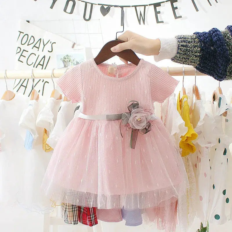 Summer Baby Girls Dress Princess Style Flower Ribbon Gauze Mesh Shaggy Dress for Birthday Parties