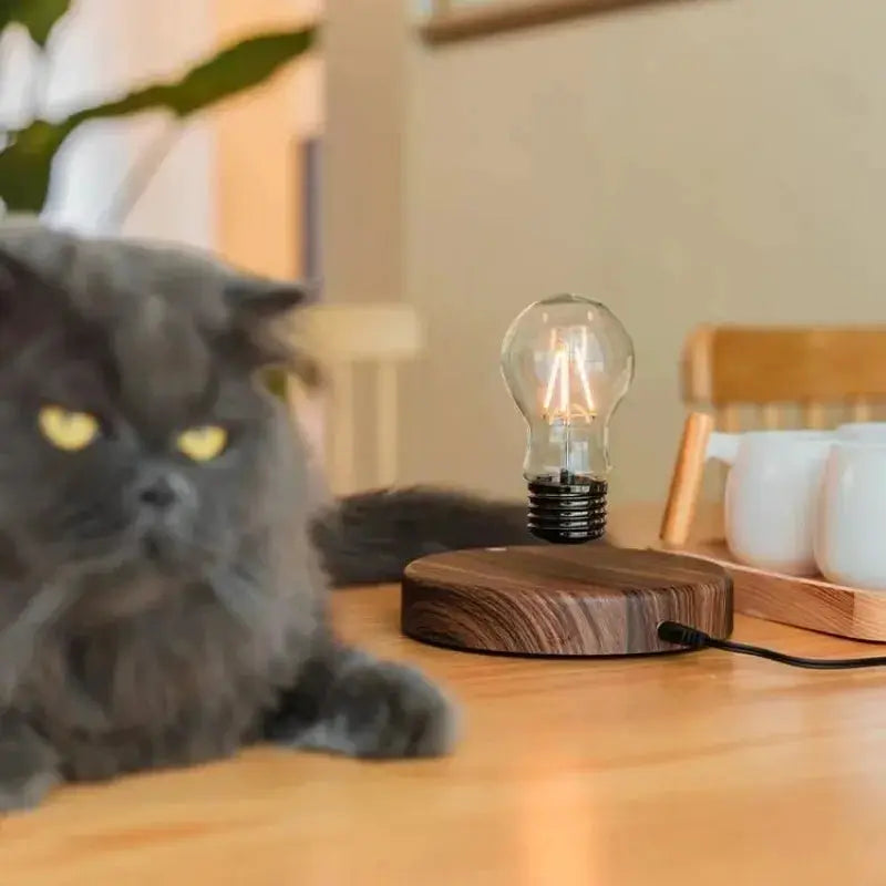 Magnetic levitation lamp by Simples Market with floating glass LED bulb on a wooden base for home office décor.