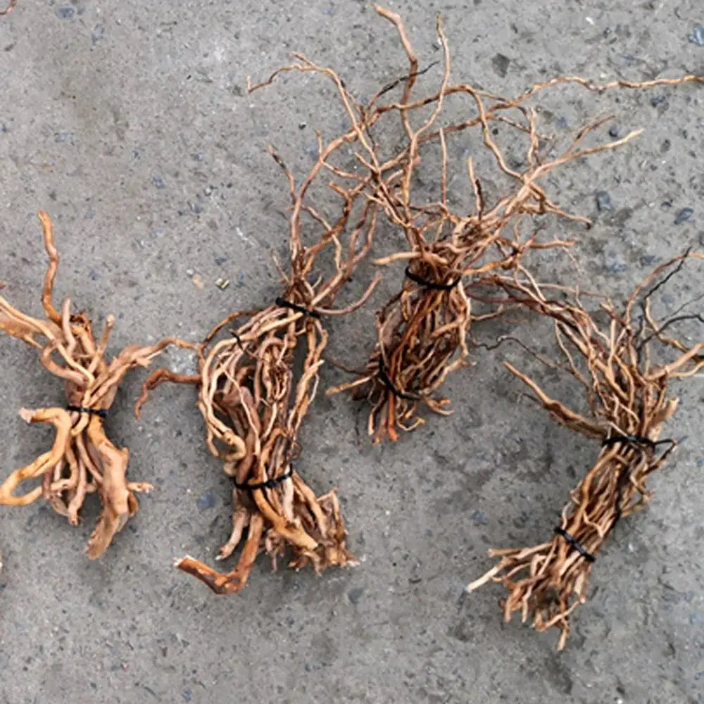 Natural Driftwood Root Trunk For Aquarium DIY Landscape Ornaments And Fish Tank Decor Supplies