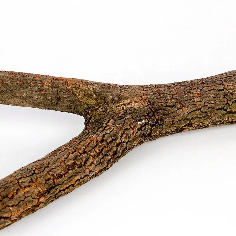 Bird cage perches—2 natural brown wooden sticks with bark, Simples Market