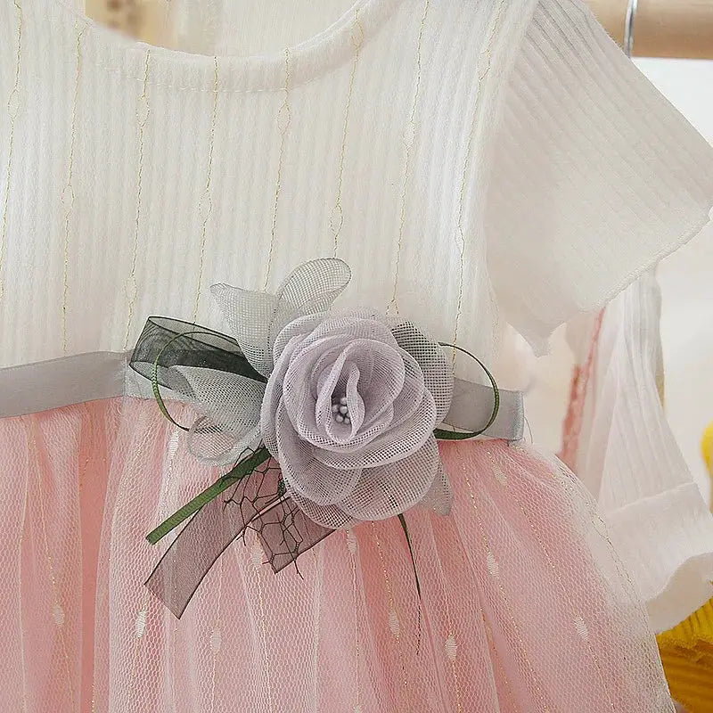 Summer Baby Girls Dress Princess Style Flower Ribbon Gauze Mesh Shaggy Dress for Birthday Parties
