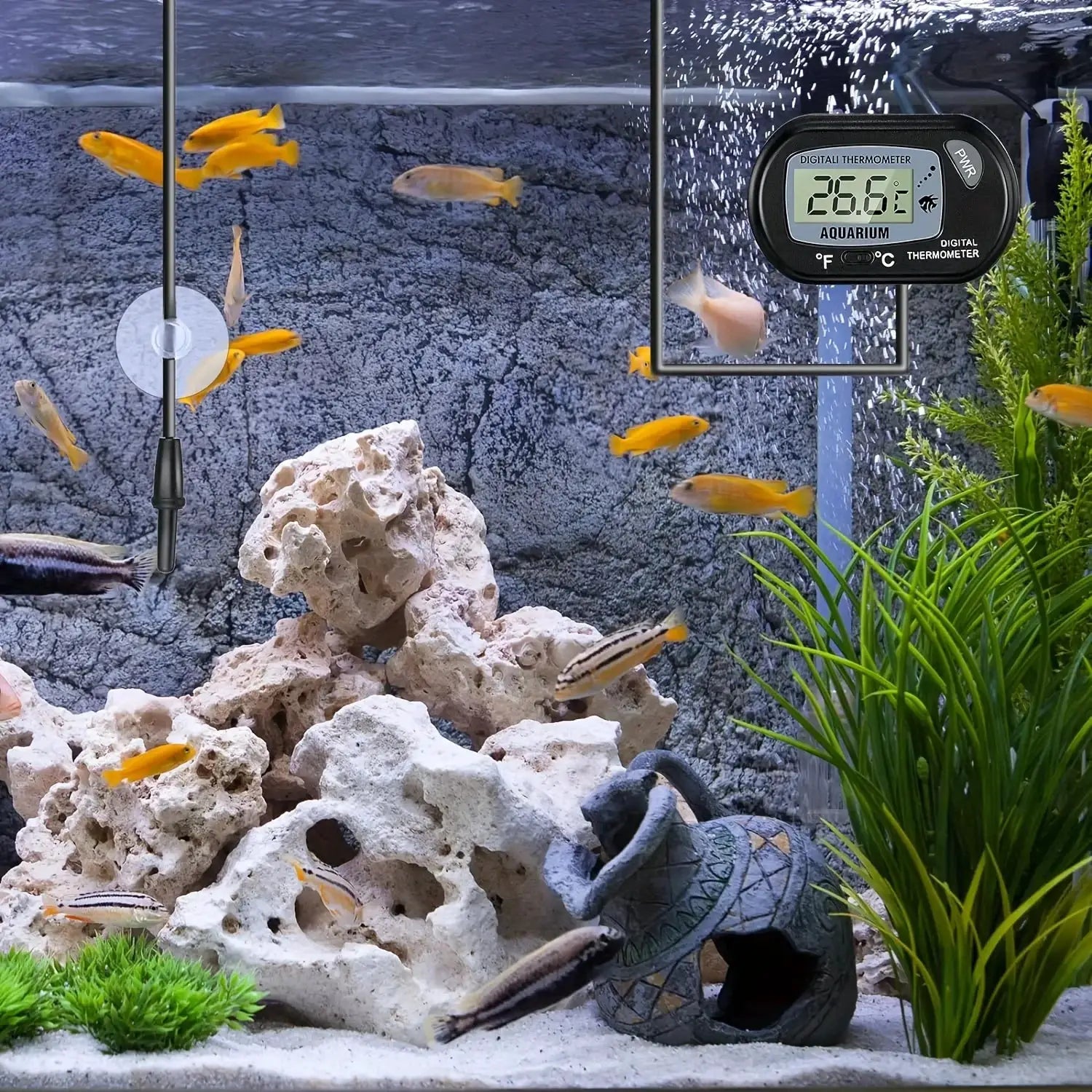 2 4 8 Pcs LCD Digital Aquarium Thermometer For Fish Tank With Water-Resistant Sensor Probe And Suction Cup For Reptile
