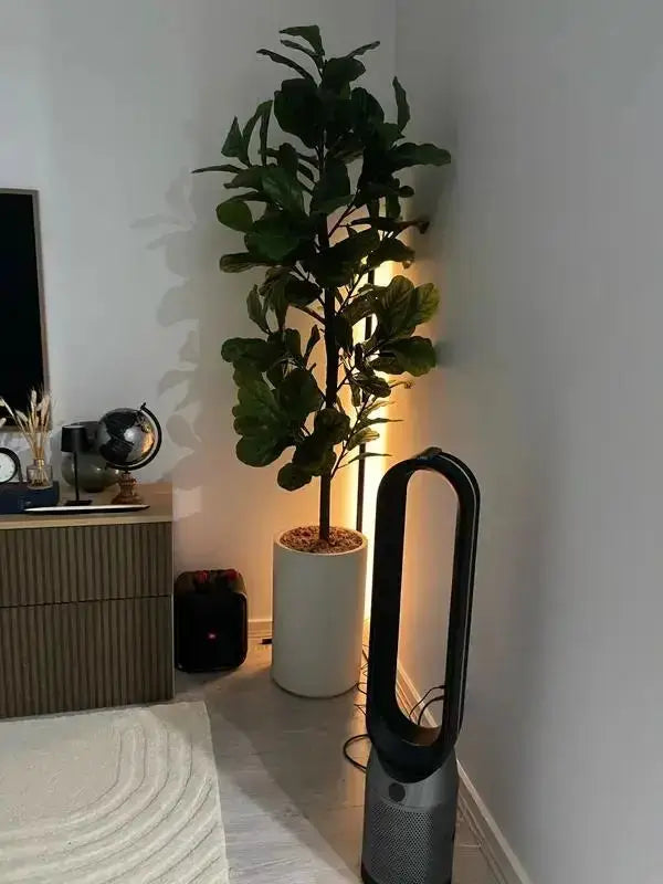 Simples Market corner floor lamp, black RGB LED light with remote/app control, placed in a living room beside a tall plant.