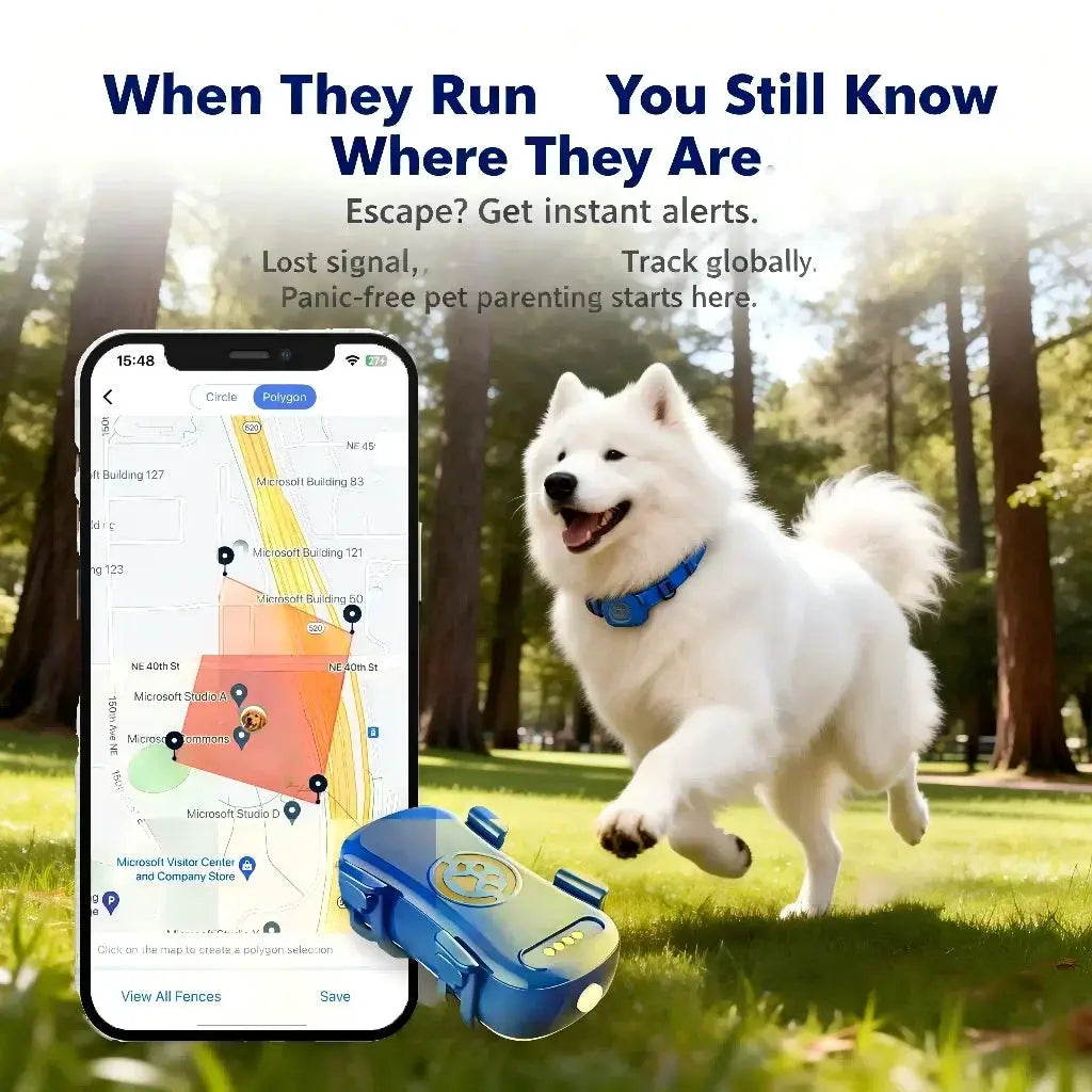 GPS Pet Tracker for Dogs and Cats blue device beside a smartphone map with a white dog in a park
