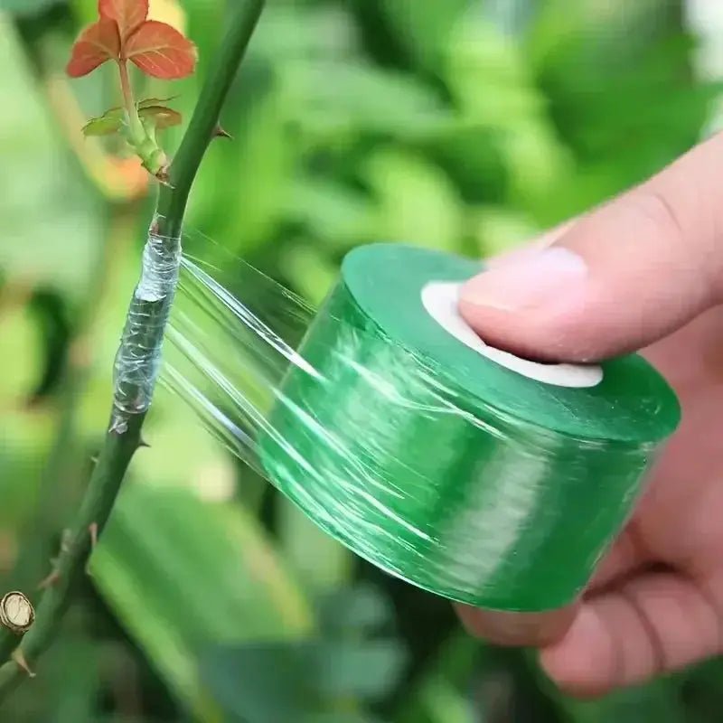 Self Adhesive Grafting Tape For Fruit Trees And Seedlings Durable Plastic No Tying Needed - Simples Market