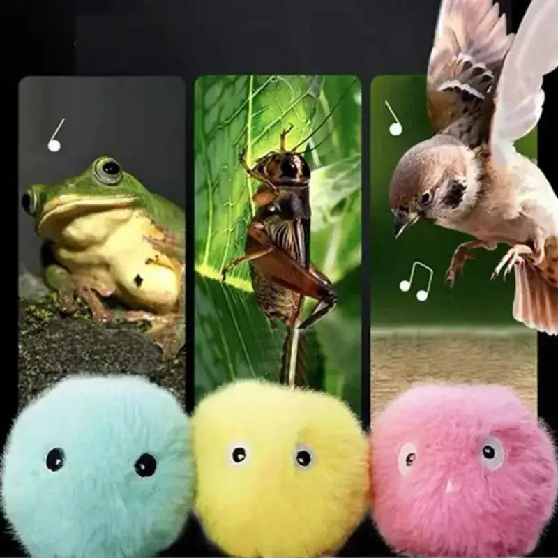 Cat Toys EVA Sound Balls With Frogs Chirping Birds Crickets Rolling Plush Soft Self Healing Teaser for Cats