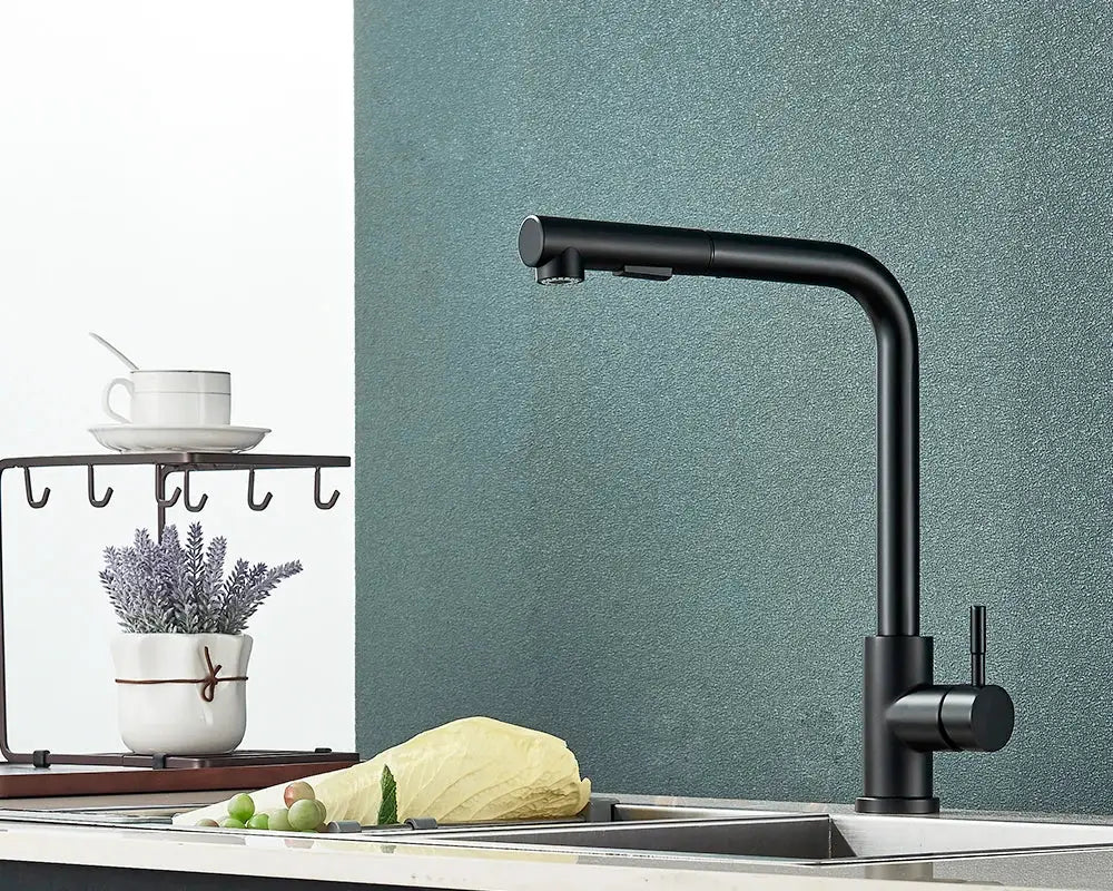 Rozin black pull-out kitchen faucet with high-arc gooseneck, 360° rotation, SUS304 stainless steel