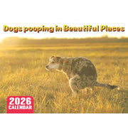 2026 dog calendar featuring a dog in a sunlit grassy field with bold orange title Dogs pooping in Beautiful Places