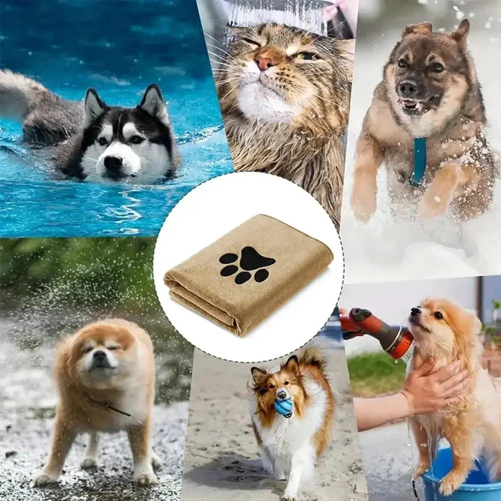 Three Size Options Microfiber Pet Bath Towel Embroidered Super Soft Absorbent for Cats and Dogs Grooming Supplies
