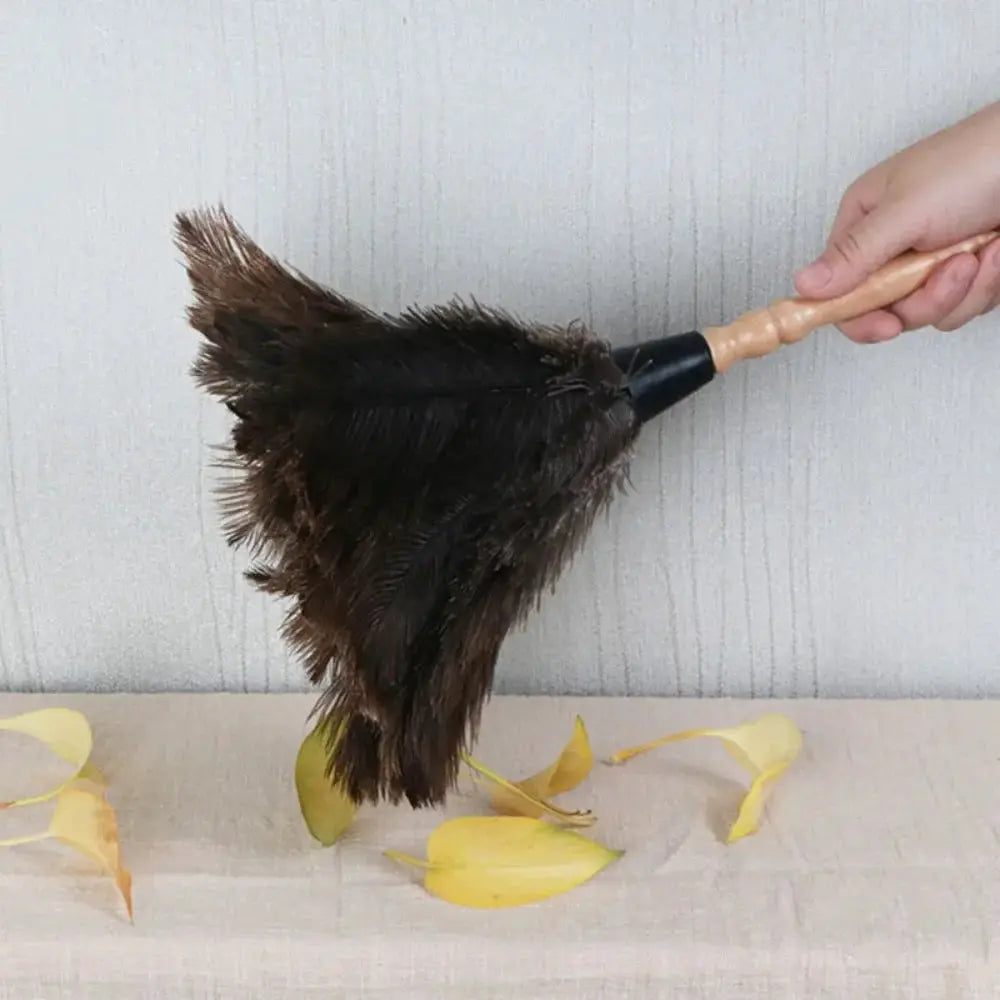 Ostrich feather duster with a wooden handle and black-brown feather tufts for cleaning