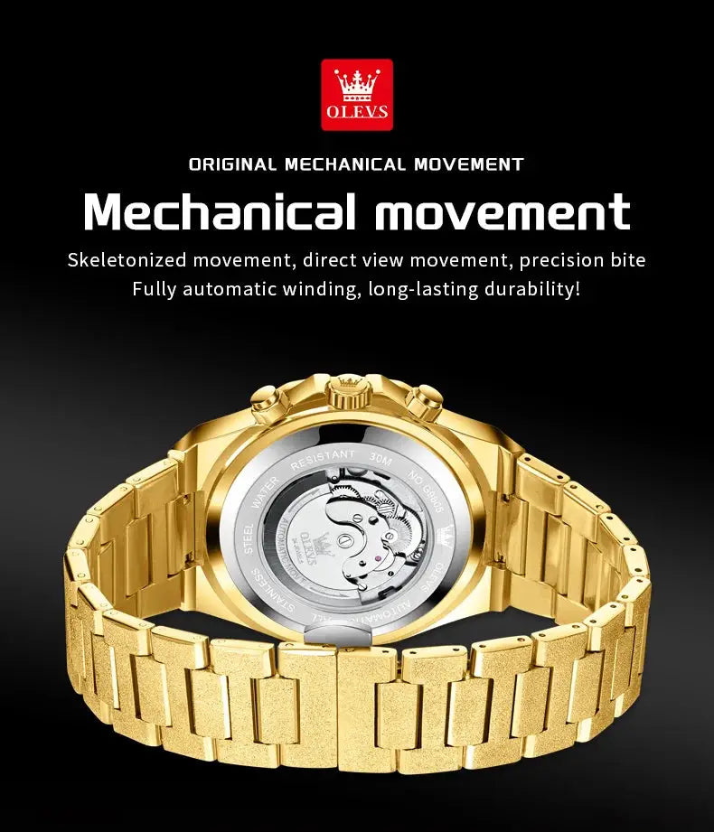 OLEVS gold steel men's watch with automatic movement and transparent case back