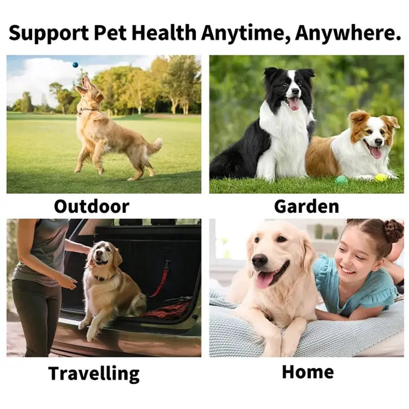 Disposable Finger Toothbrush For Pets With Wet Wipes For Dogs And Cats Oral Cleaning