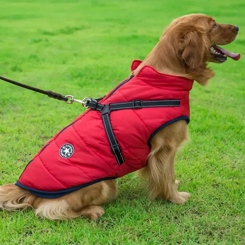 Red quilted dog jacket with harness; waterproof large-dog coat for big breeds