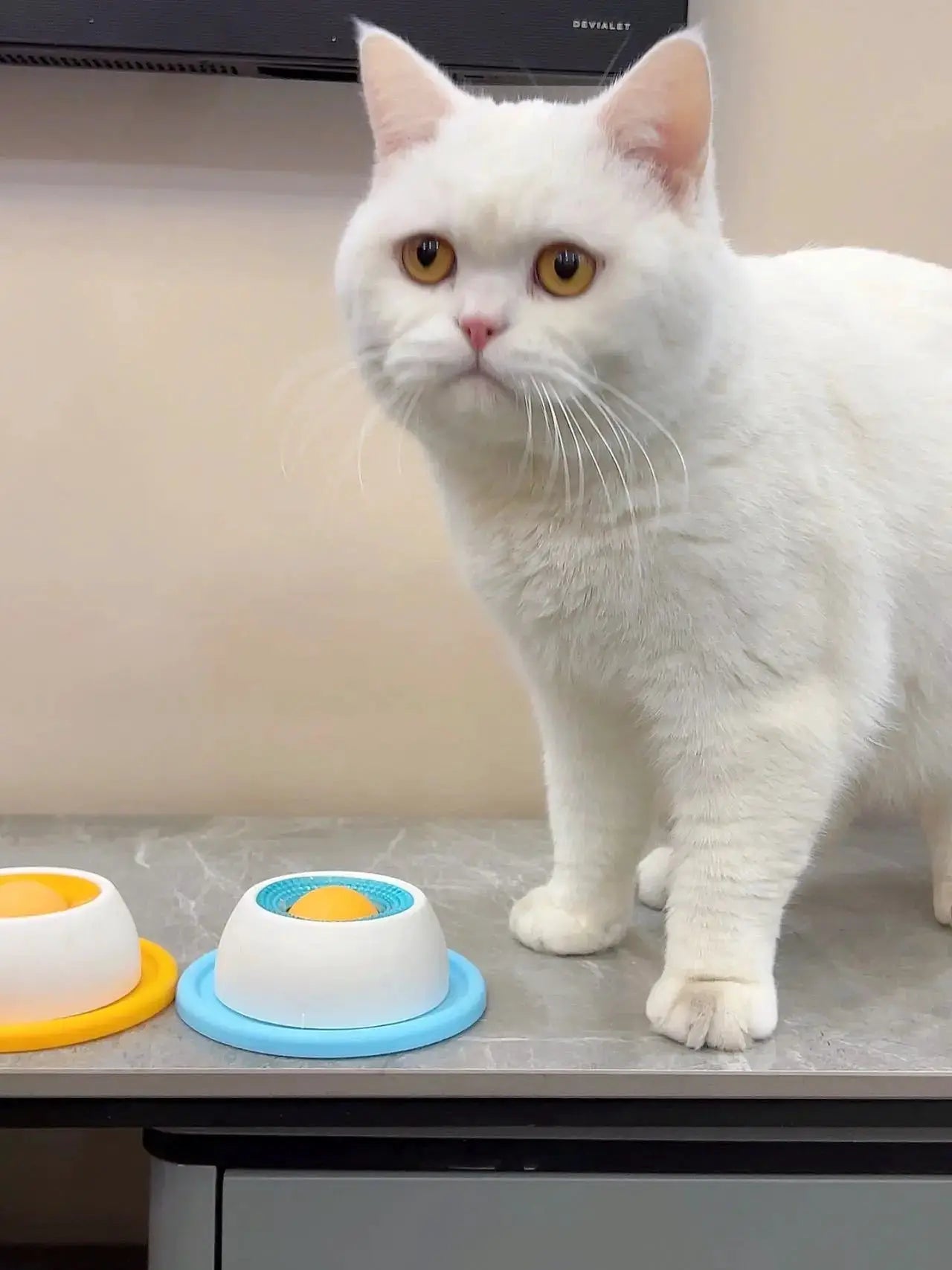 Lick Toys for Dogs by Simples Market; interactive slow-feeder bowls in blue and orange with a white cat nearby