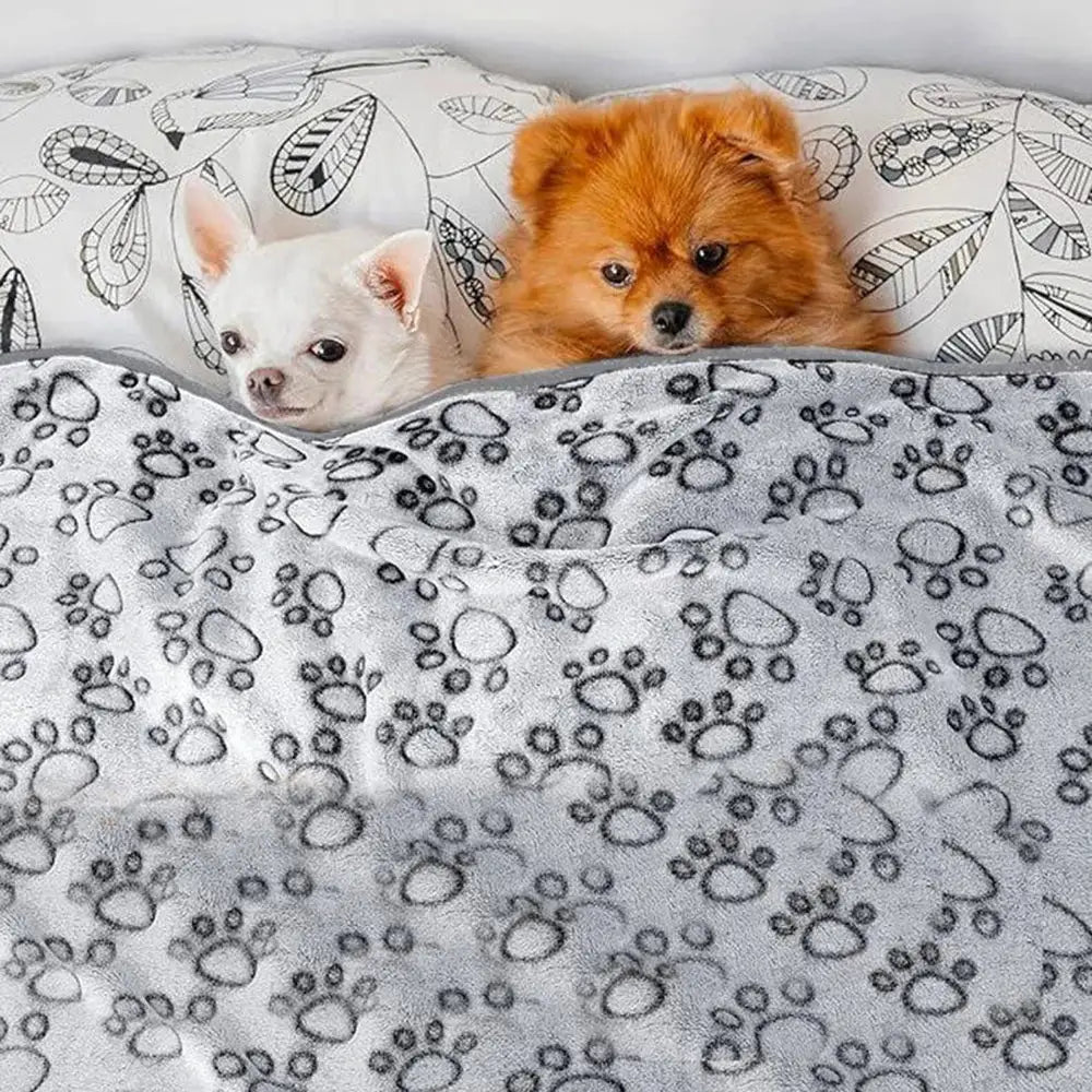 Winter Soft Dog Blanket Washable For Cats And Dogs Indoor Pets Grey Large Medium Small Bed Mat