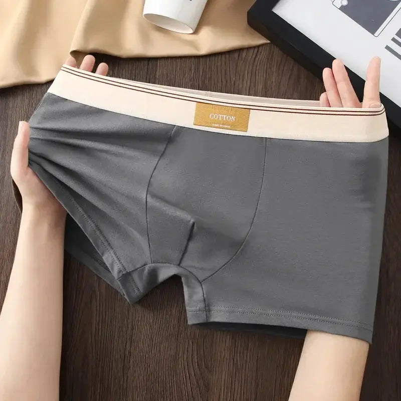Simples Market men's cotton boxer shorts in gray with a beige waistband