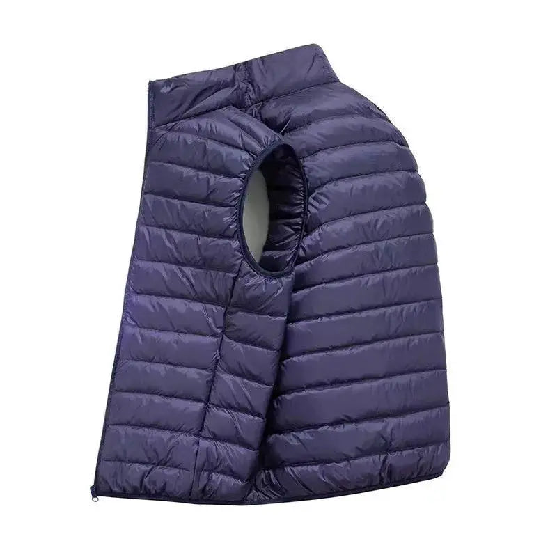Men's purple quilted sleeveless puffer vest with stand collar, cotton-padded for winter warmth.