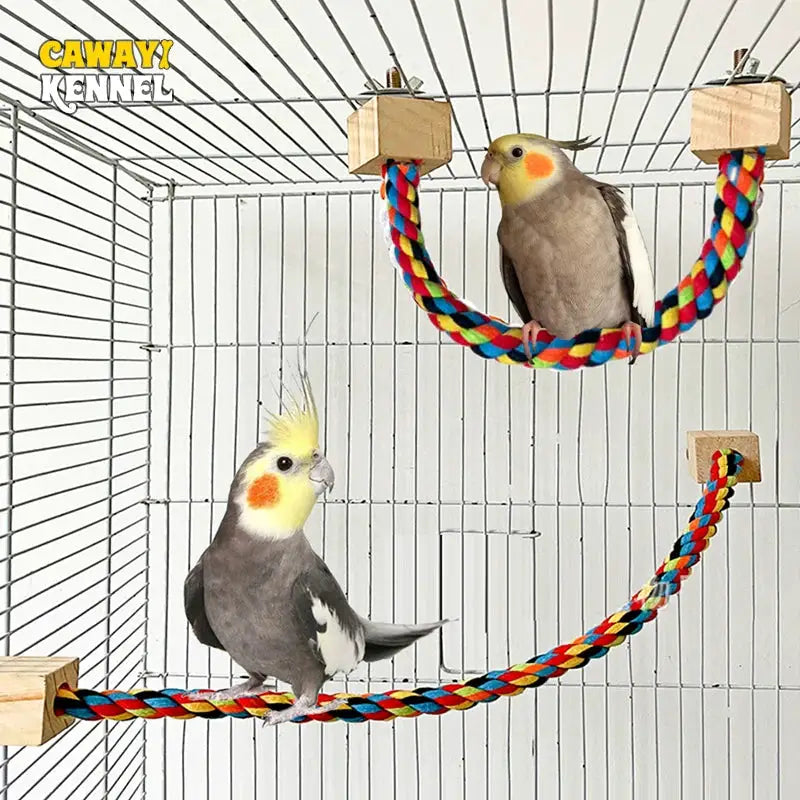 Parrot rope toy set with multicolor braided cotton rope and wooden blocks; two cage swings, CAWAY KENNEL logo