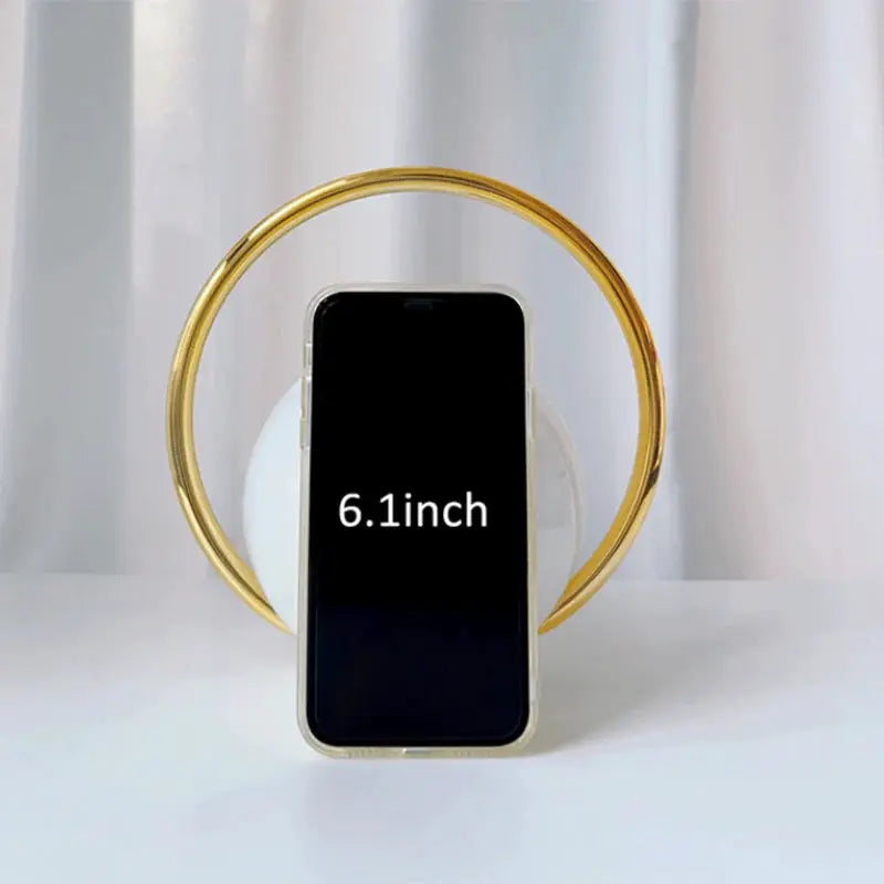 Acrylic evening clutch by Simples Market with a gold-tone circular ball-handle