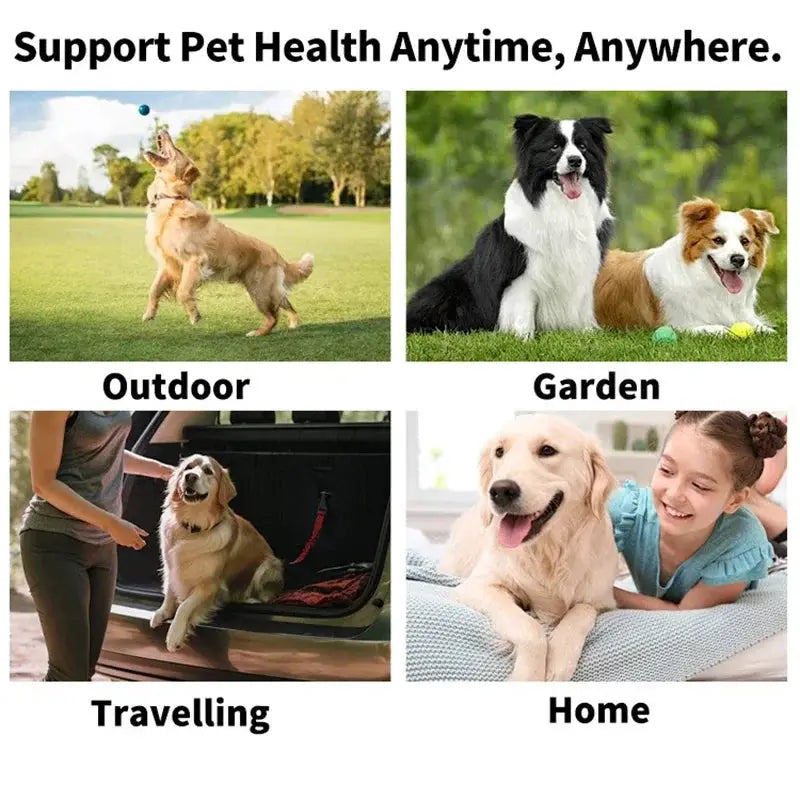 Pet Eye Wipes For Tear Stains Gentle Cat And Dog Eye Cleaning Wet Tissues To Remove Tear Marks