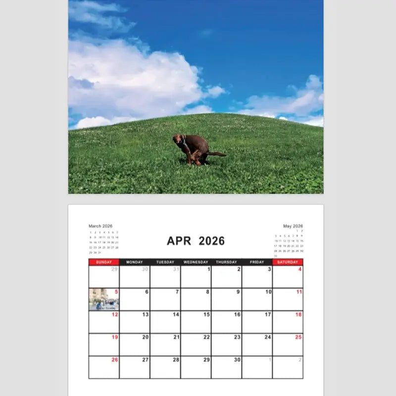 2026 Pooping Dog calendar wall planner by Simples Market, featuring a dog on a grassy hill and an April 2026 page.