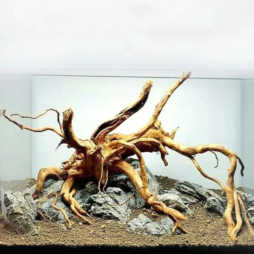 Large Driftwood Aquarium Decor Natural Fish Tank Tree And Stump Landscaping For Fish Tanks