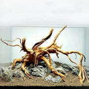 Large Driftwood Aquarium Decor Natural Fish Tank Tree And Stump Landscaping For Fish Tanks