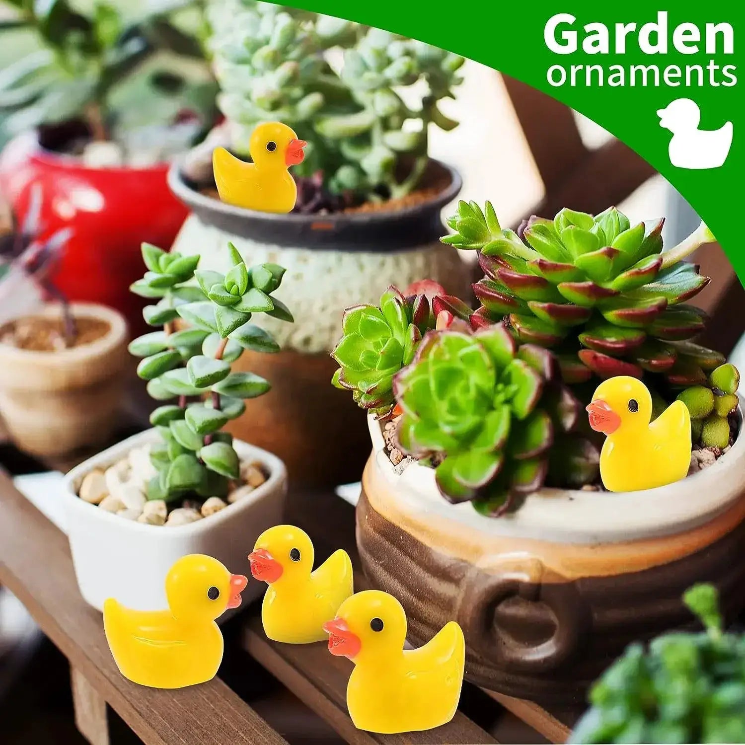 Mini resin duck figurines, six yellow ducks among succulents in a garden decor scene