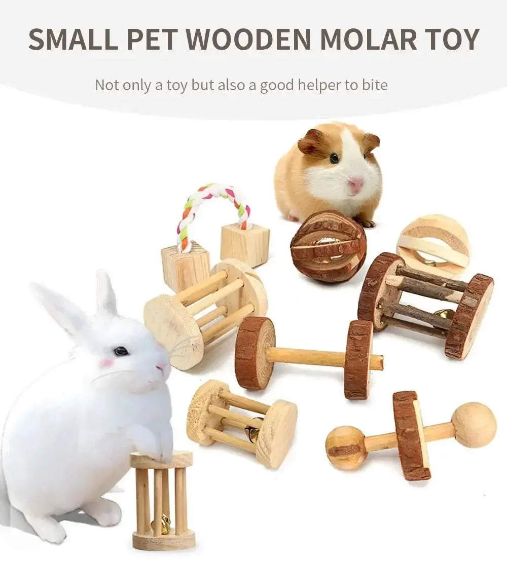 Small pet wooden molar toy set with natural pine dumbbells and roller toys for guinea pigs and rats