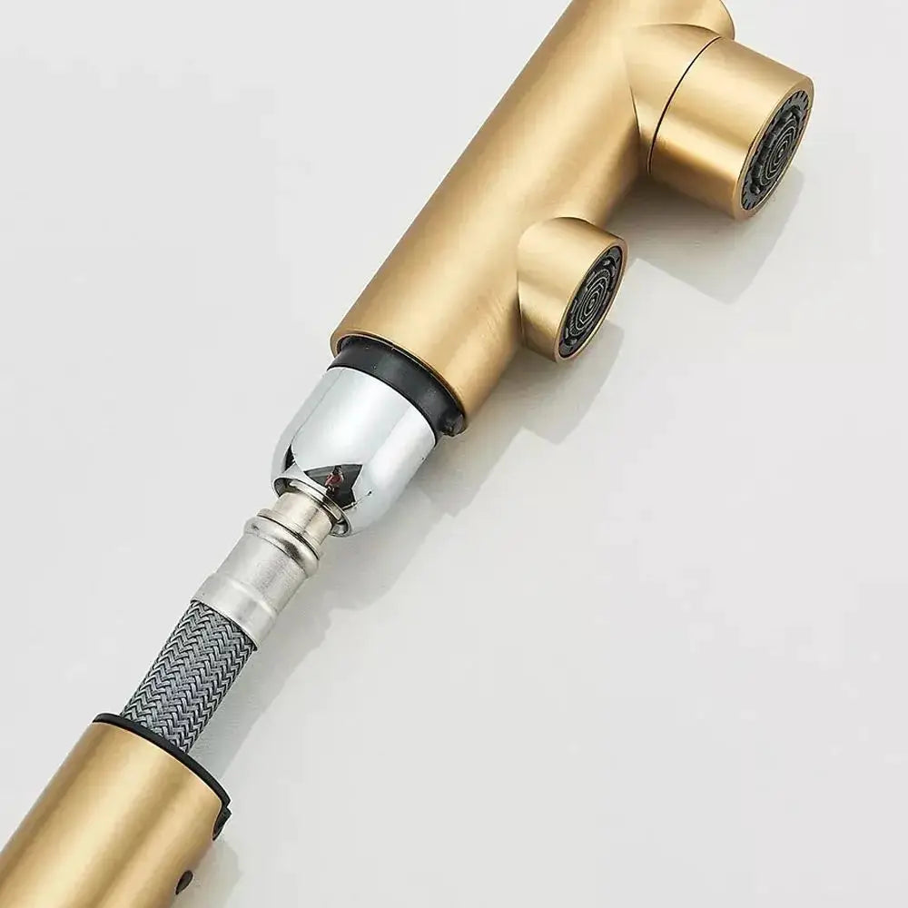 Kitchen pull-out filtered faucet by Simples Market in black brass with braided hose, 360° rotation, dual spray