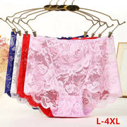 Plus-size lace panties set of five in assorted colors, high-waist underwear for women, L-4XL