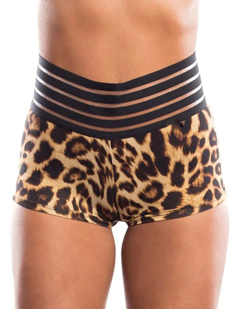 Leopard print high-waist women's sports shorts with a triple-band black waistband.