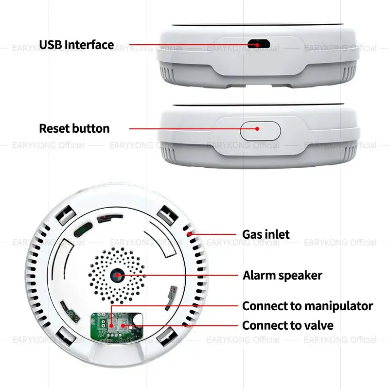 Tuya WiFi gas detector, white device with USB interface and gas inlet