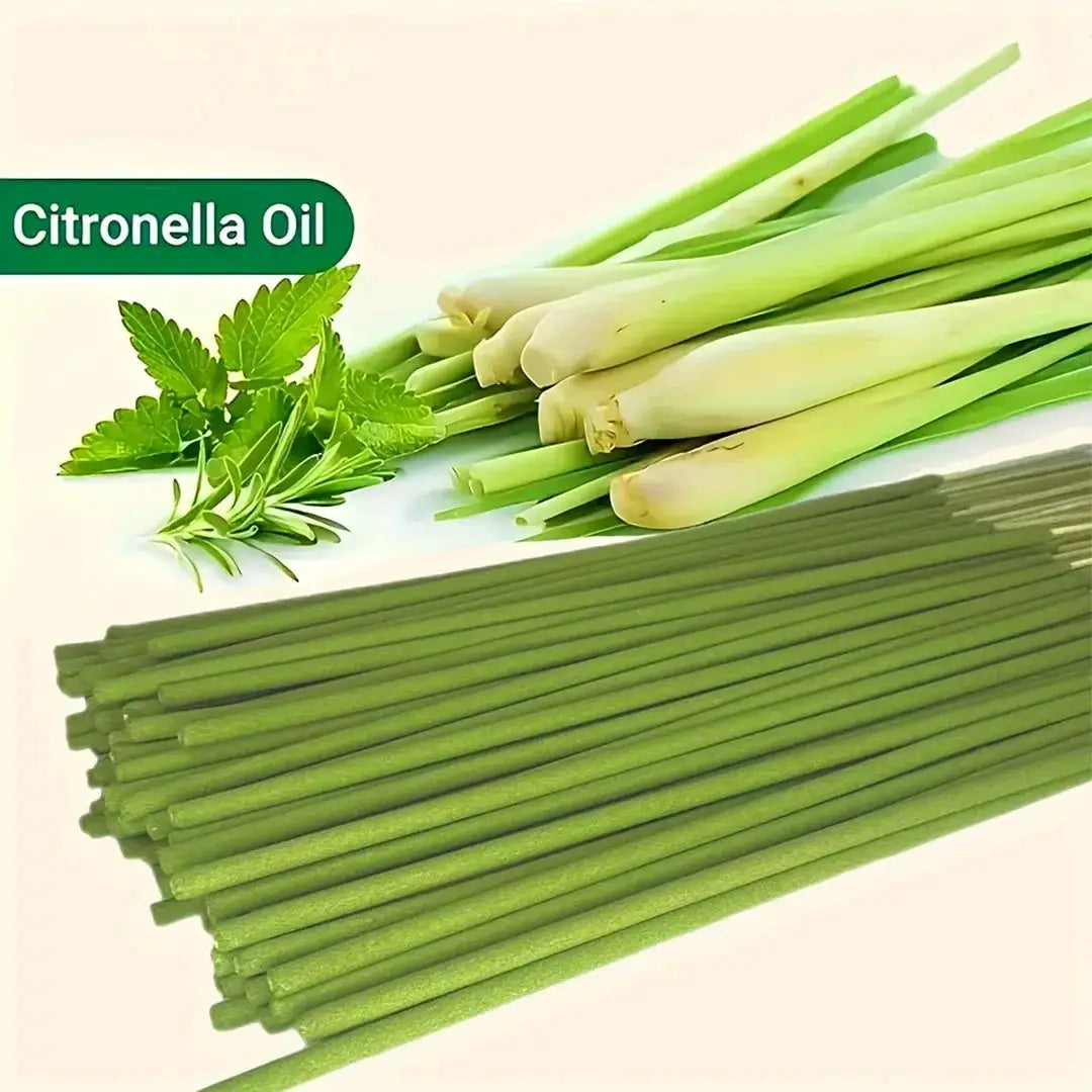 Extended Burning Time Lemongrass Oil Stick for Home and Outdoor Use 45 Minute Burn Scent for Camping Yard Pool Decor