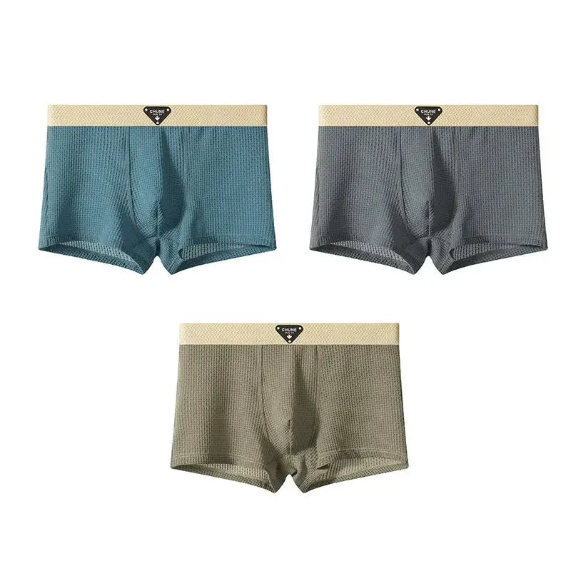 Boxer briefs 3-pack in blue, gray, olive; satin-like mesh, skin-friendly Simples Market