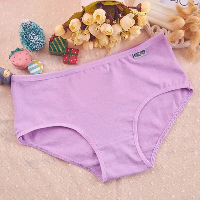 Women’s lavender cotton panties, plus-size full-coverage briefs