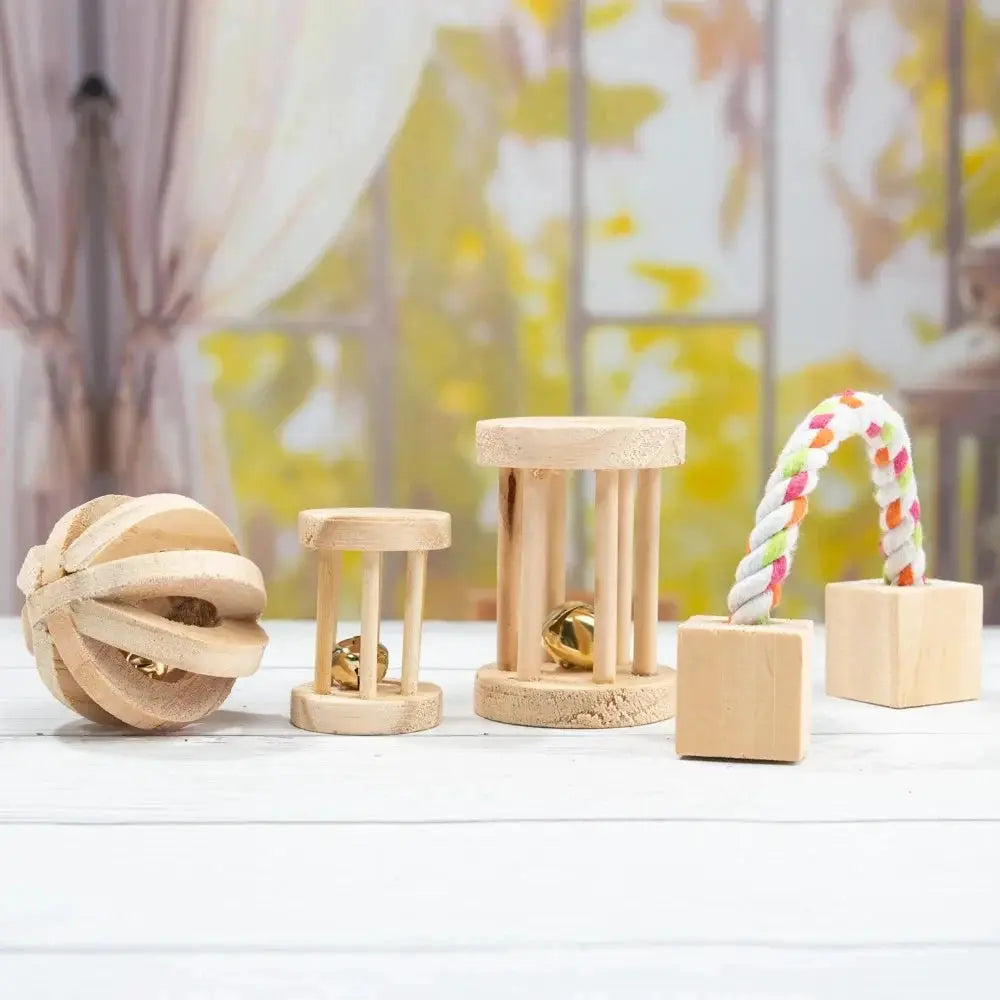 Small animal wooden chew toy set 5-piece from Simples Market: dumbbell, slatted ball, two towers, braided rope block