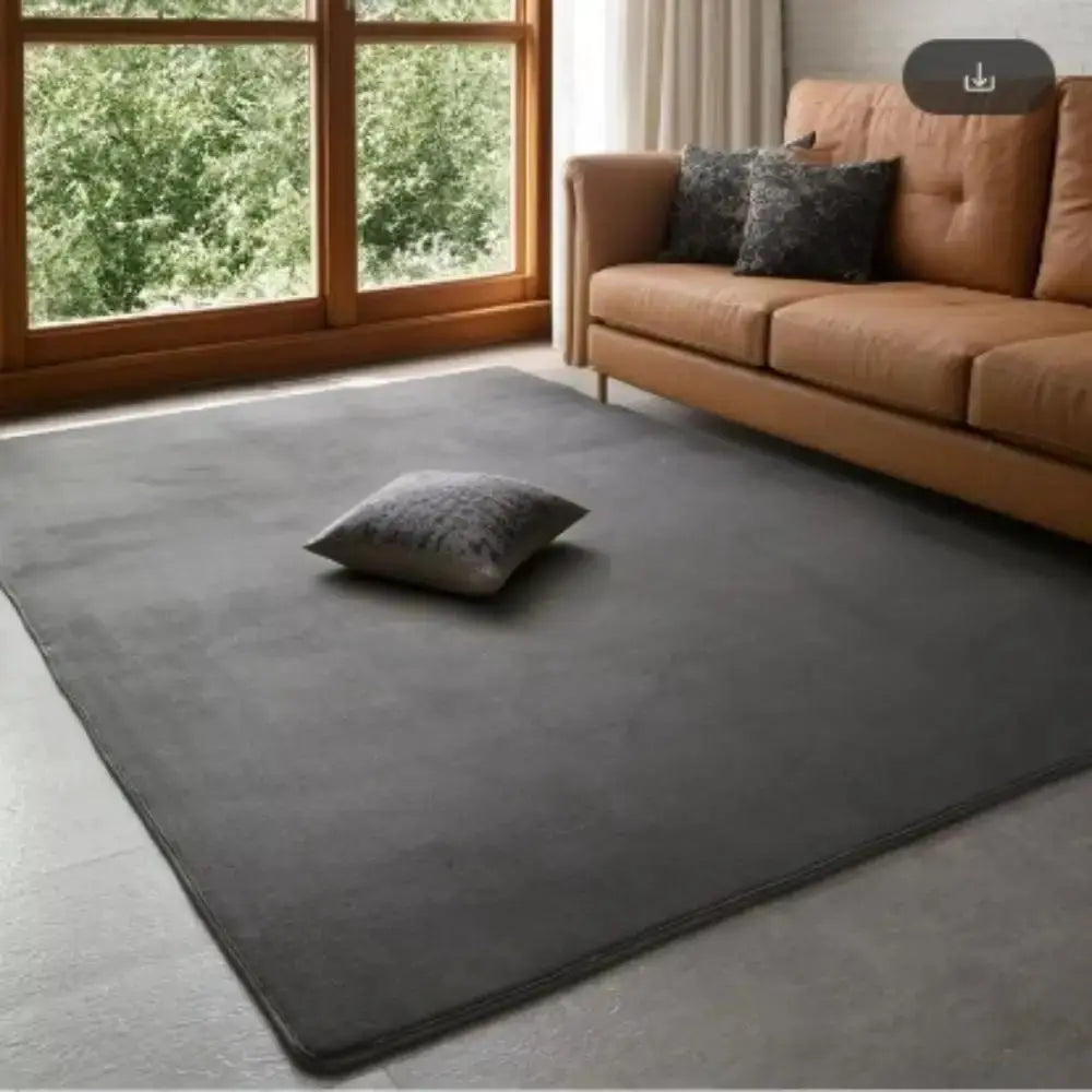 VIKAMA Modern Coral Velvet Carpet charcoal gray large living room rug