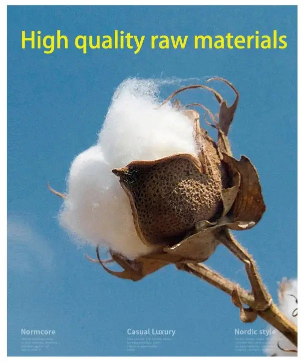 Cotton boll on stem against blue sky; white natural fiber and high quality raw materials banner