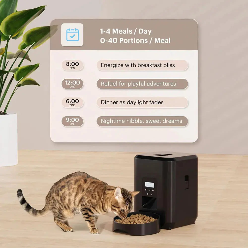 Smart Pet Feeder automatic cat and dog food dispenser in black with feeding bowl; cat eating