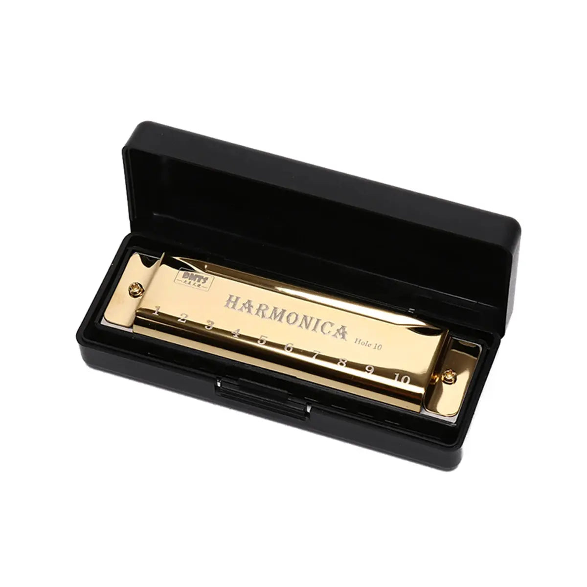 Key of C 10 Hole Diatonic Harmonica with Case for Beginners Kids Students Gift Bundle