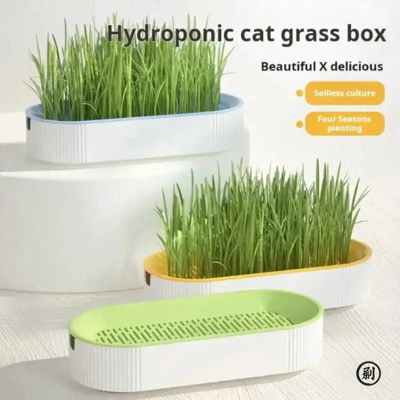 Hydroponic Cat Grass Box Kit for Easy Growth Soilless Planting Cat Grass Pot Set Cat Treats
