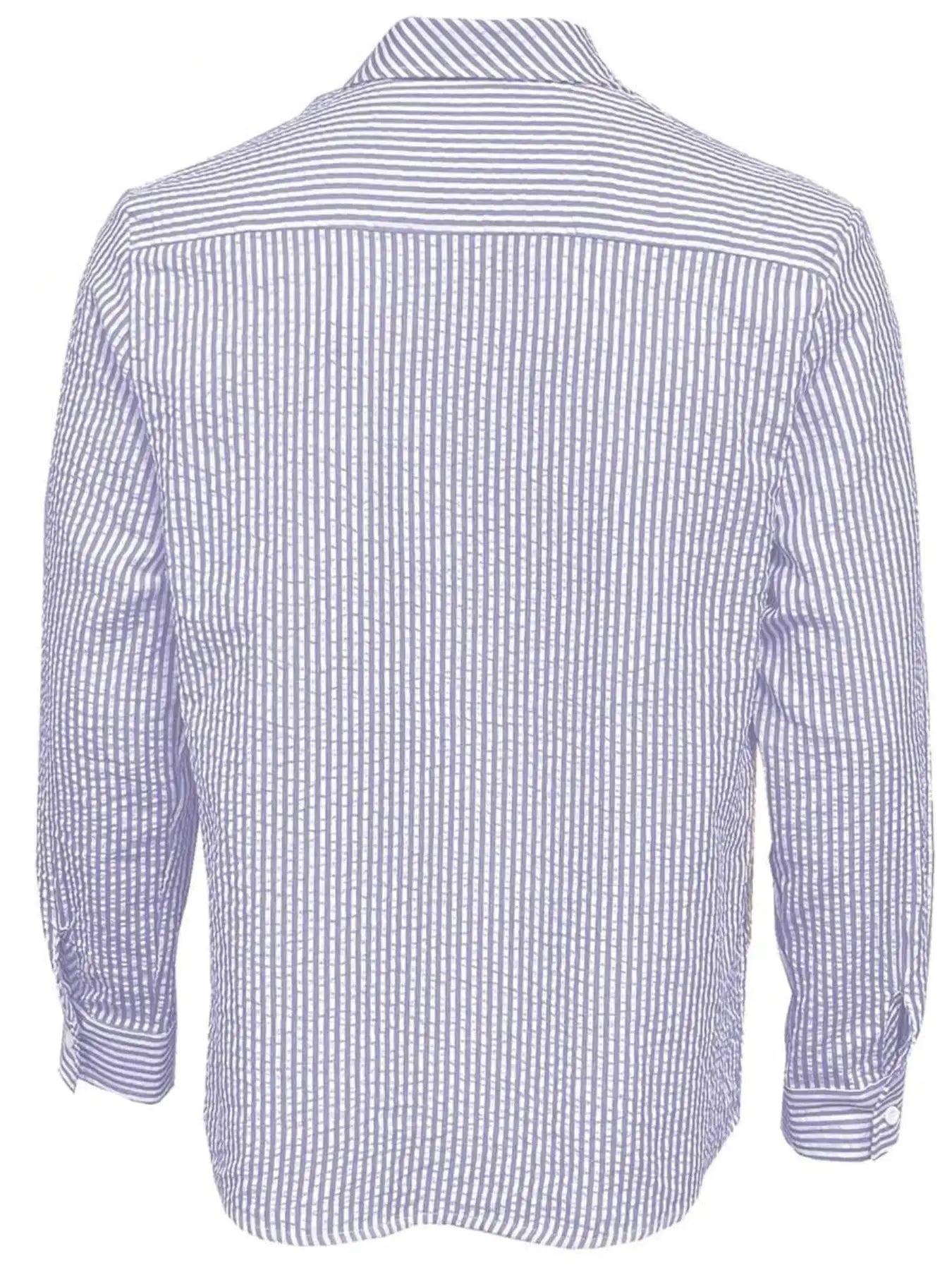 Men's long-sleeve blue and white striped shirt, loose fit, back view.