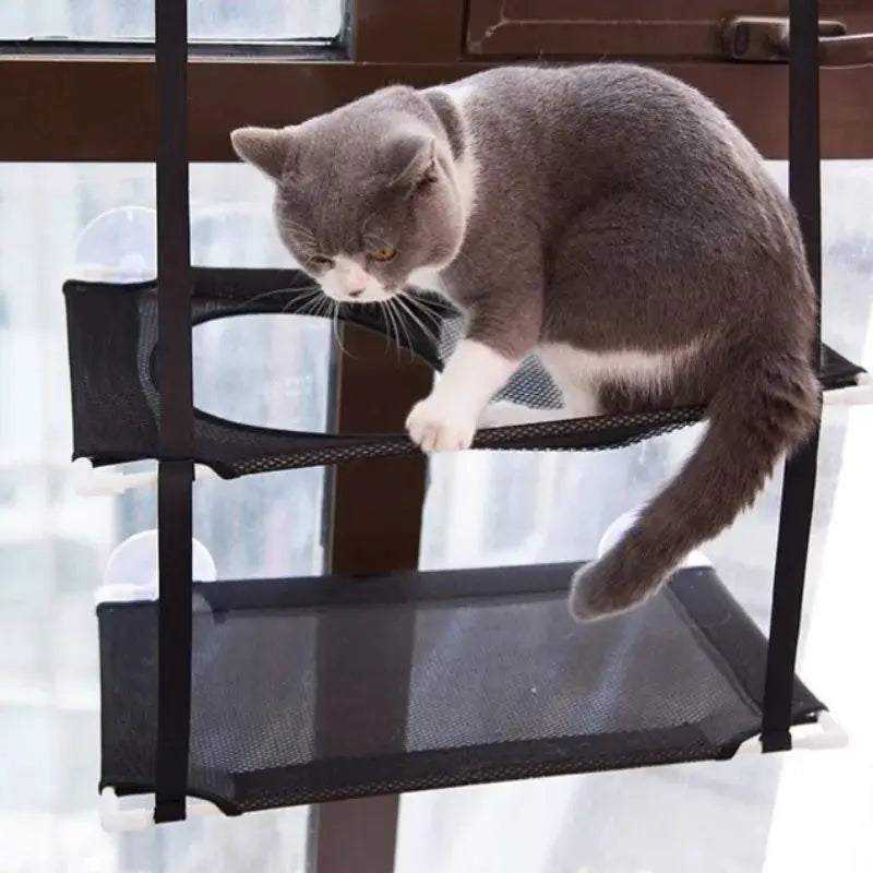 Cat Window Hammock Bed Kitten Sunny Seat Double Decker Tunnel Suction Cup Mounts For Cats Winter
