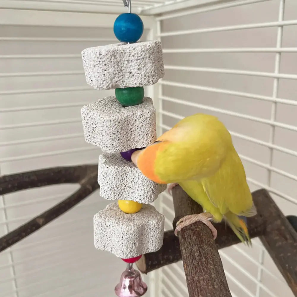 Simples Market volcanic rock bird chew toy with 4 pumice blocks and colorful beads, parrot nearby