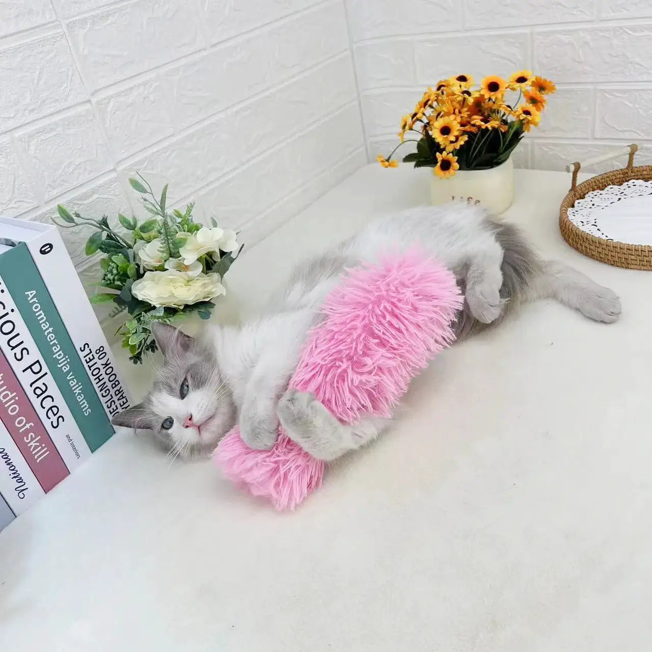 Plush Cat Chew Toy With Catnip For Cats Soft Interactive Teaser Pillow Toy Scented Durable Playful