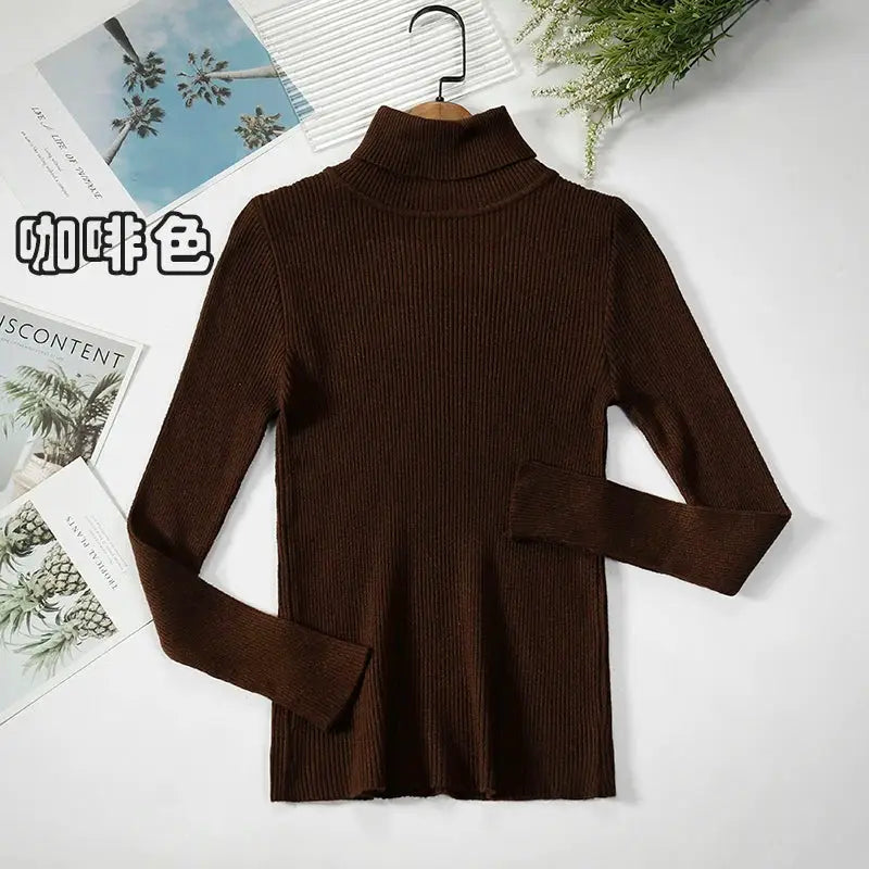 Women Turtleneck Sweater Slim Fit Elastic Knit Acrylic Cotton Blend Medium Stretch Solid Black