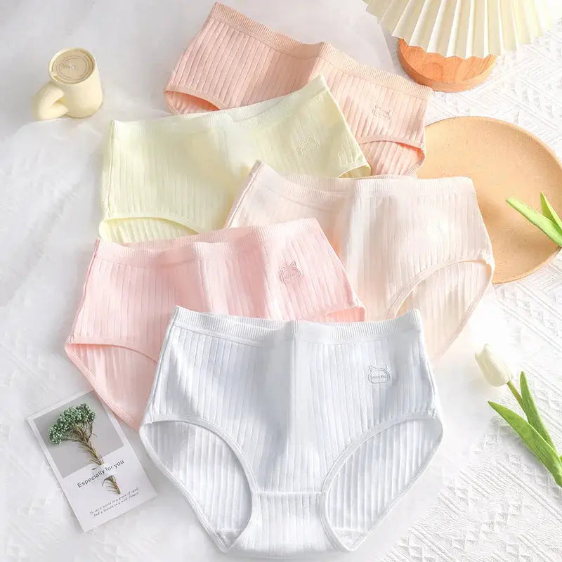 Simples Market women's cotton panties six-pack in pastel colors; high-waist ribbed briefs