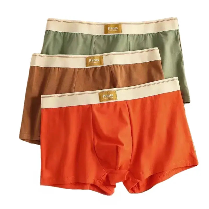 3-pack men's cotton boxer shorts by Simples Market; green, brown, and orange with cream waistband